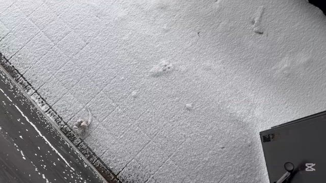 風雪の朝の記事動画