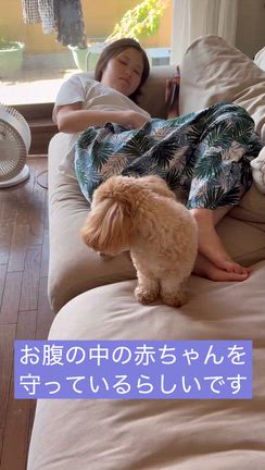 まだ、生まれません。の記事動画