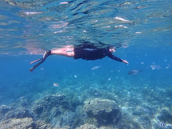 ★ゆっくりな時間の記事動画