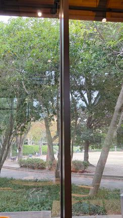 夫婦で浜名湖・浜松旅行の記事動画