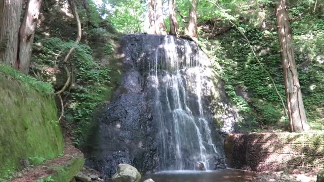 2025大滝山自然公園( PENTAX K50、Canon SX700HS 、iPhoneXR)の記事動画