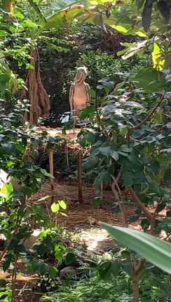 神戸どうぶつ王国へ行ってきた３の記事動画