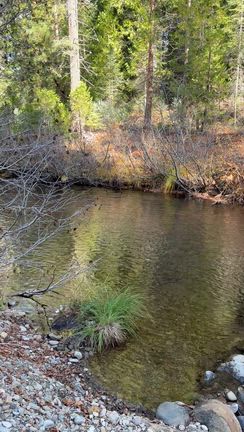 シャスタ旅行 Day2: McCloud Riverの記事動画