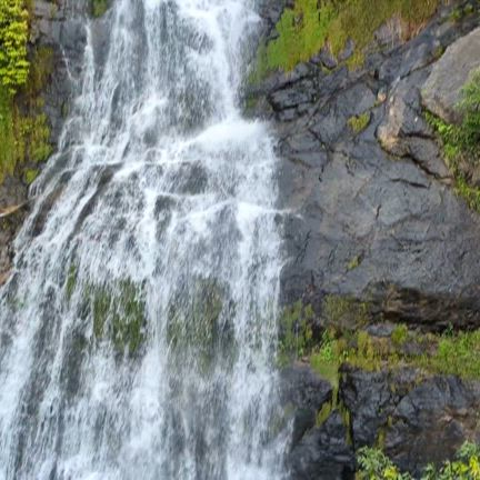 ☆ケアンズ旅行☆の記事動画