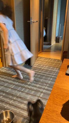 【夏休みワンコ連れ旅行②】ビワフロント彦根のヴィラが犬連れに最強だったの記事動画