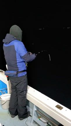 1/4の記事動画