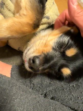 言ってくれたら（察する、察しないの記事動画