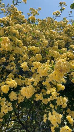 好きな場所の記事動画