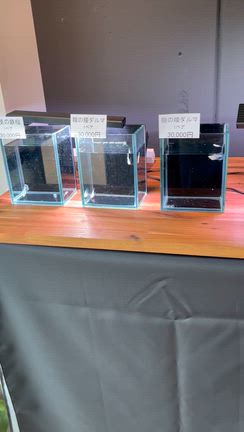 感謝ののっぽの記事動画