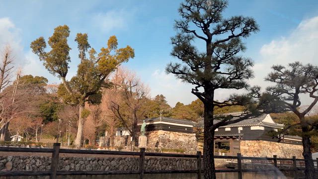 またね高知の記事動画