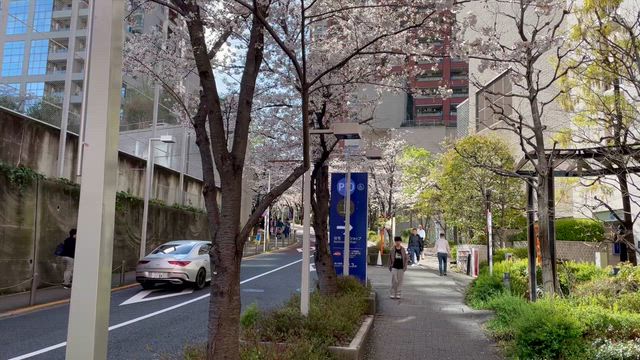 ふぅ〜！の記事動画