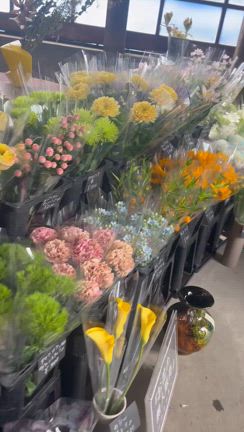 私事　高校生と大学生の授業が始まりましたの記事動画