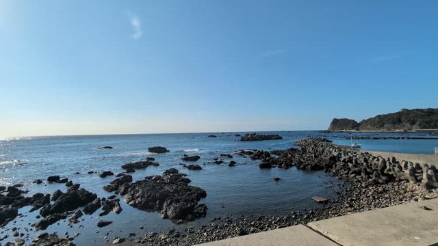 ①3days南伊豆ぼちぼちみちくさ食いまくりランの記事動画