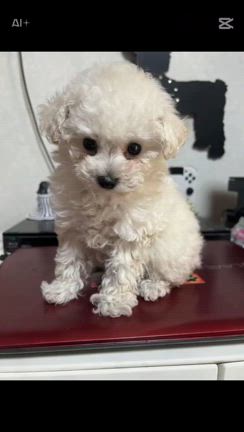 宇宙人に連れ去られるwの記事動画