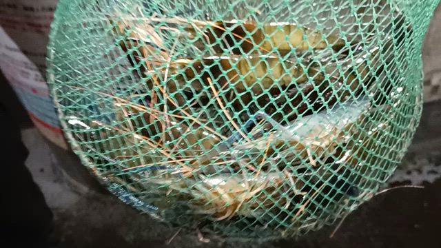 木曜日の記事動画