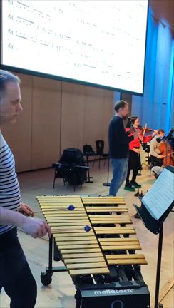 ミニマルミュージックフェスティバル♪の記事動画