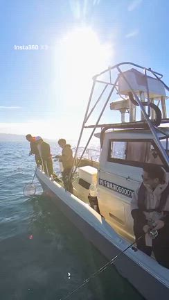 情報解禁‼️2025総決算❓の記事動画