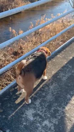 2025/01/08 アレンジの構想の記事動画