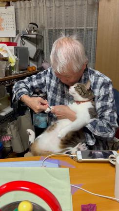 大ちゃん頑張りましたの記事動画