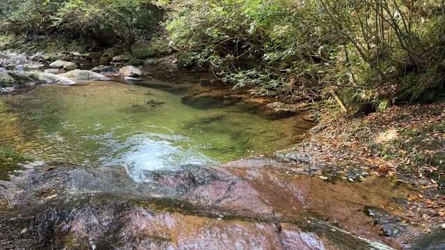 広島県 午後の滝つぼは淡い緑色の記事動画