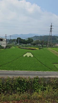 田んぼアートの記事動画