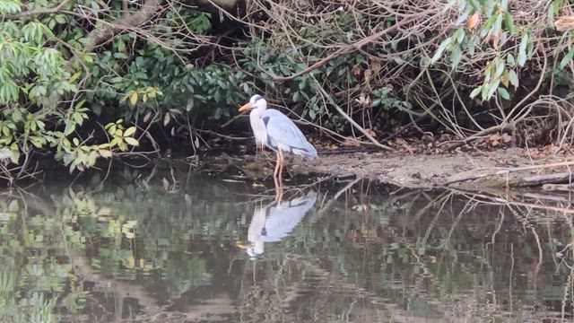 宇陀市で演奏の記事動画