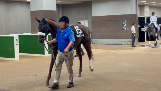 シンハナーダ江ノ島ステークス5着の記事動画