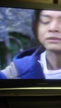 犬が見やすいアニメ？の記事動画