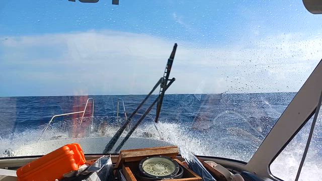 カツオパトロールの記事動画