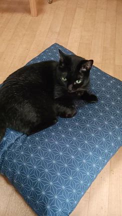 おフミ様の記事動画