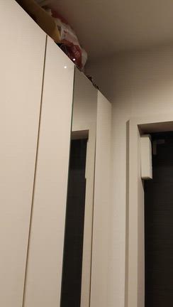 日曜日のヒロットの記事動画