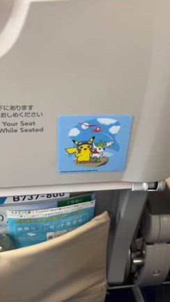 ツアー後はこんな感じ、、、の記事動画