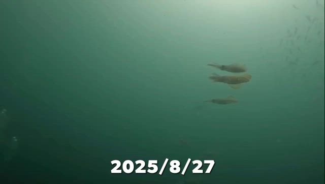 2025/8/27の記事動画