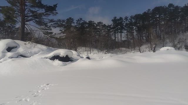 桧原湖ワカサギ釣り2.14の記事動画