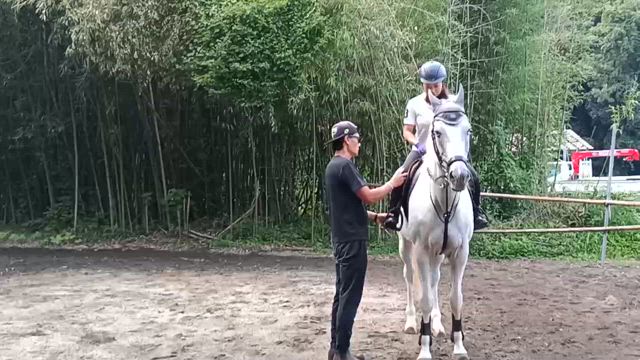 ちゃんと習って、思い出す(動画)の記事動画