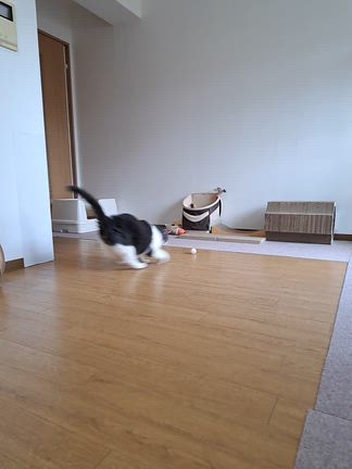 1月28日(水)夜中のラーメンの記事動画