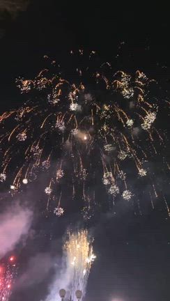 安城産業文化公園デンパークにて大道芸ショーの記事動画