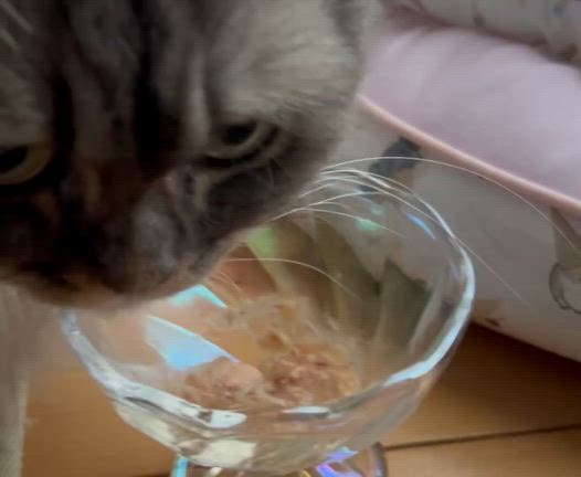 2025/04/30の記事動画