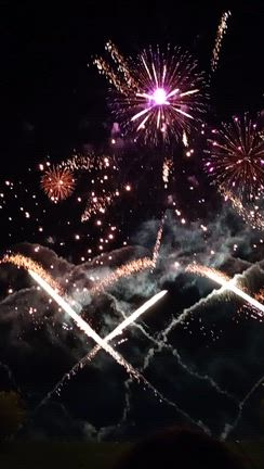 秋華火2の記事動画