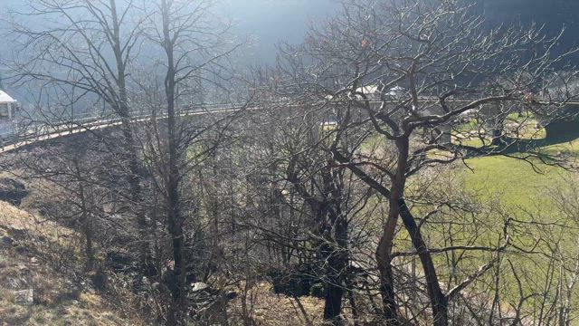 【７１】無駄な時間は苦手( *´艸｀)の記事動画