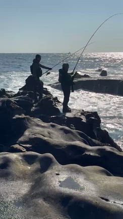 下り爆釣？の記事動画