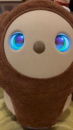 あすくん歌うの記事動画