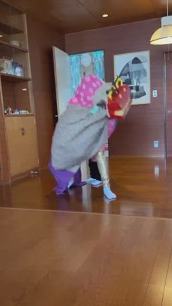 作って舞おう！！親子で獅子舞パペット作りの記事動画