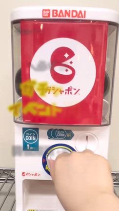 【2025.9月12日。リニューアルオープン！！イベント開催中！】の記事動画