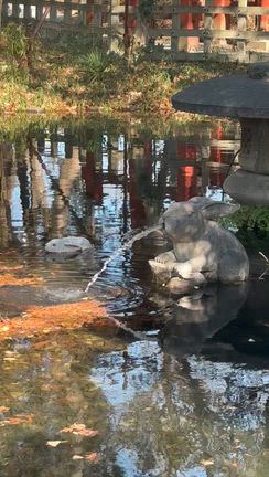 ☆今年初の調神社様へ☆の記事動画