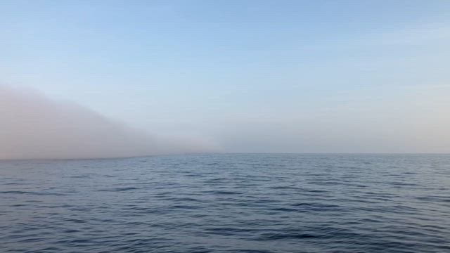 GW釣行28日(日)釣果報告の記事動画