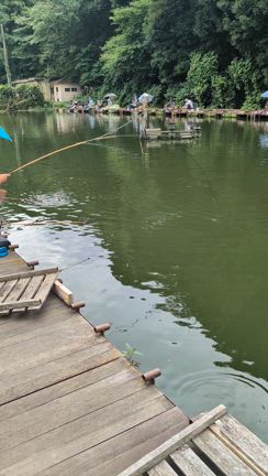 ワキワキの清遊湖の記事動画