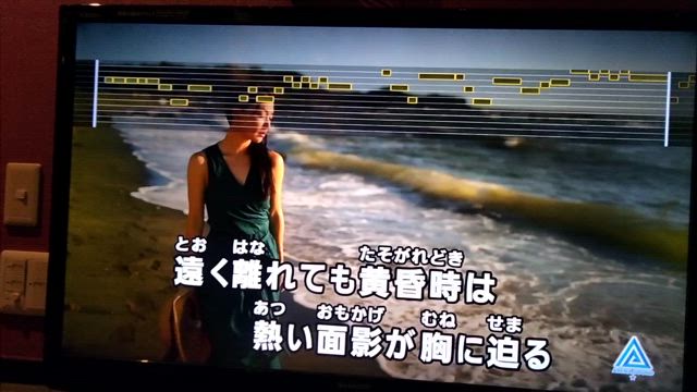 心エコー・ホルター心電図・真夏の果実♬〜の記事動画
