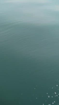 2026.3.30  1便　魚礁の記事動画