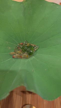 飲んだくれ日記の記事動画